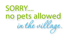 Sorry, no pets allowed.