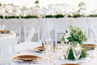 CAV Weddings 1
